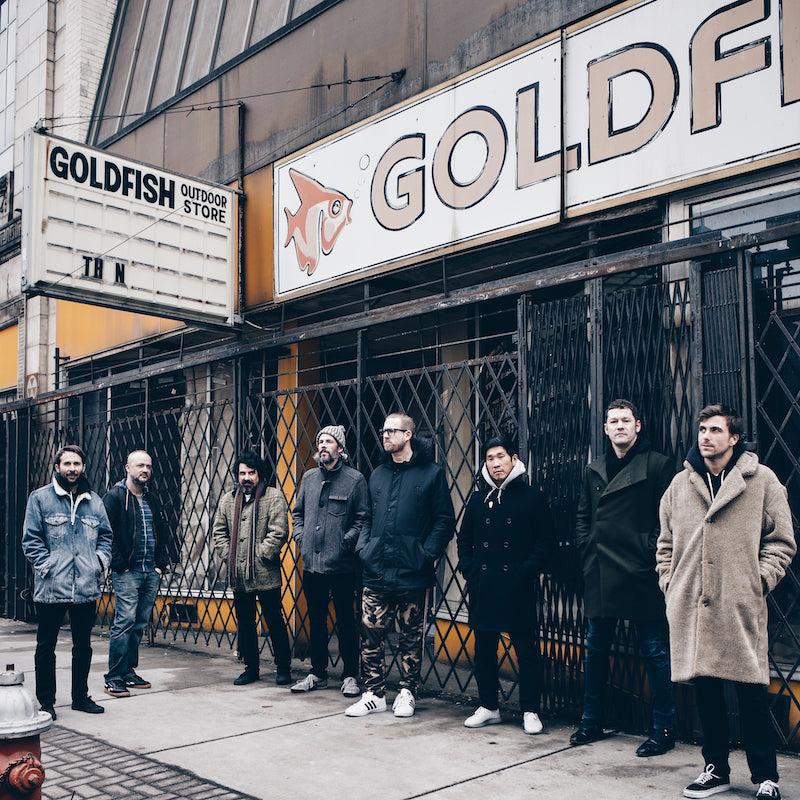 THE SOUND OF ANIMALS FIGHTING