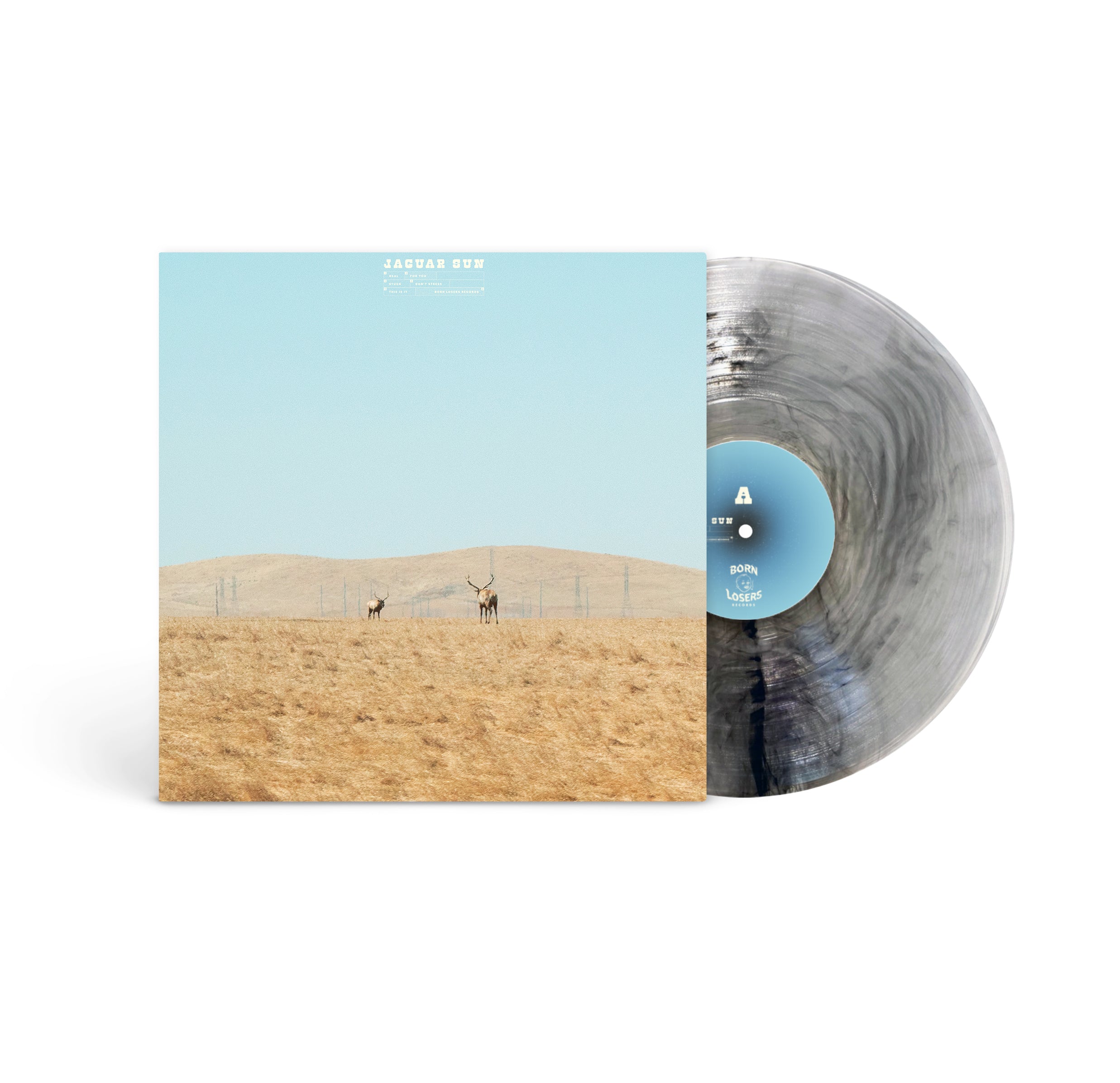 Jaguar Sun - For You Hazy w/ Black Swirl