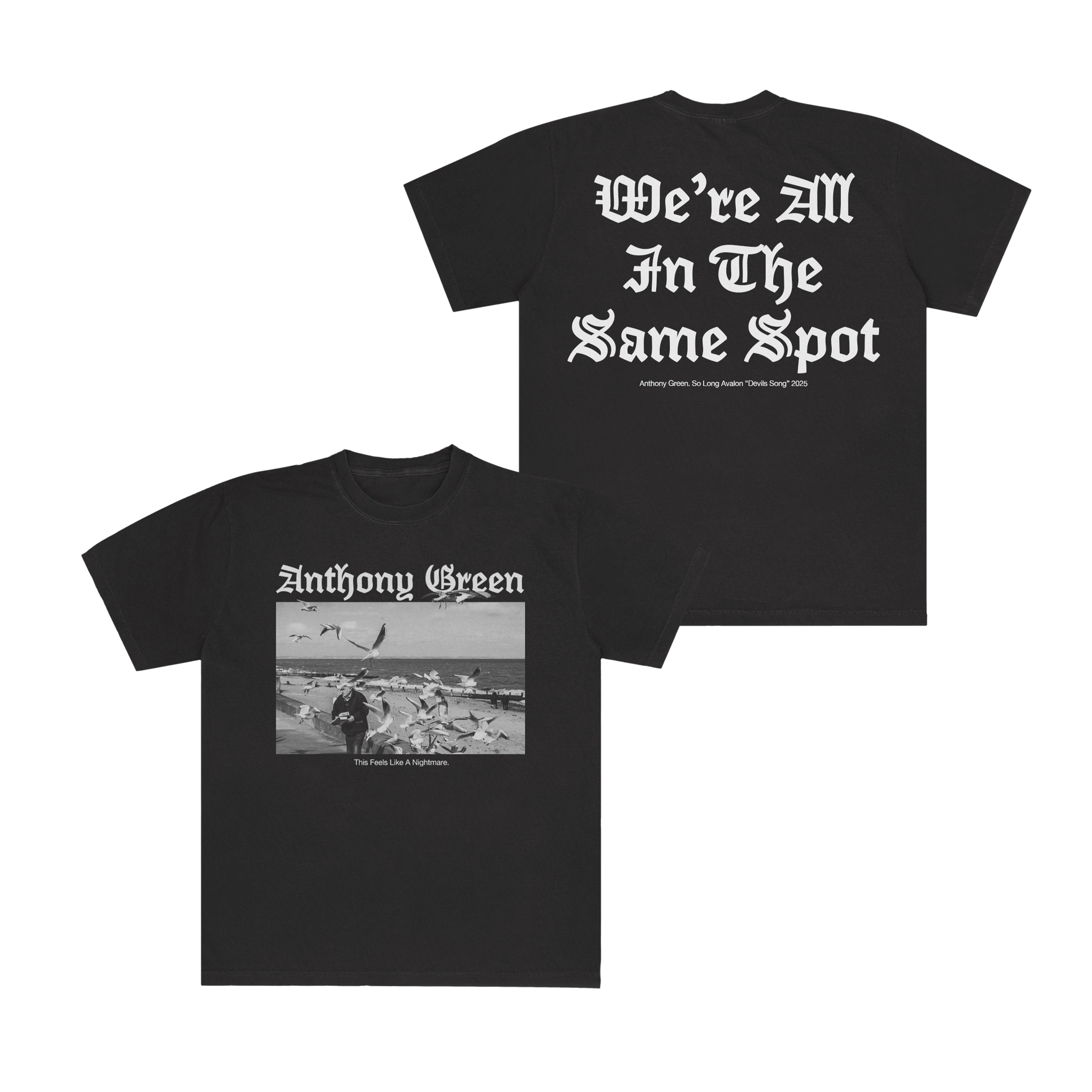 Anthony Green Seagulls T Shirt